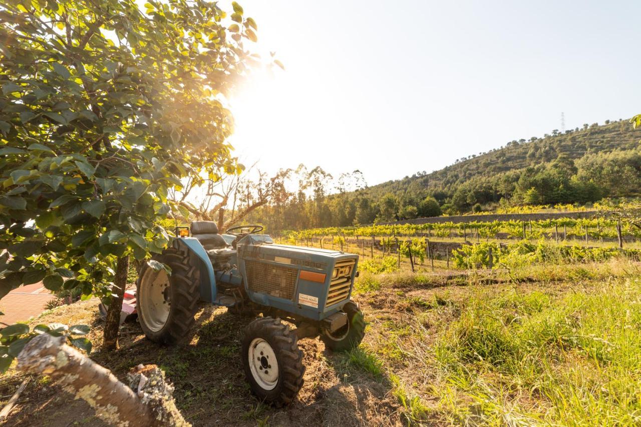 Quinta Da Fonte - Agroturismo Barroselas Экстерьер фото