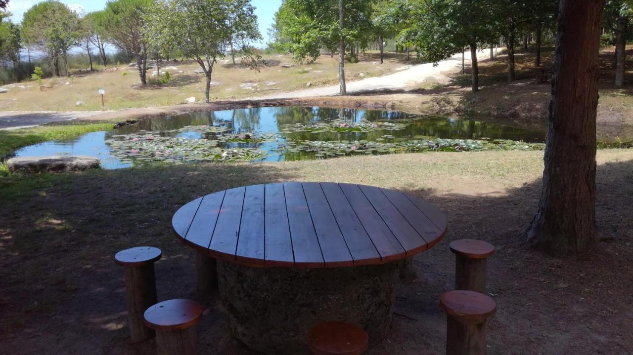Quinta Da Fonte - Agroturismo Barroselas Экстерьер фото